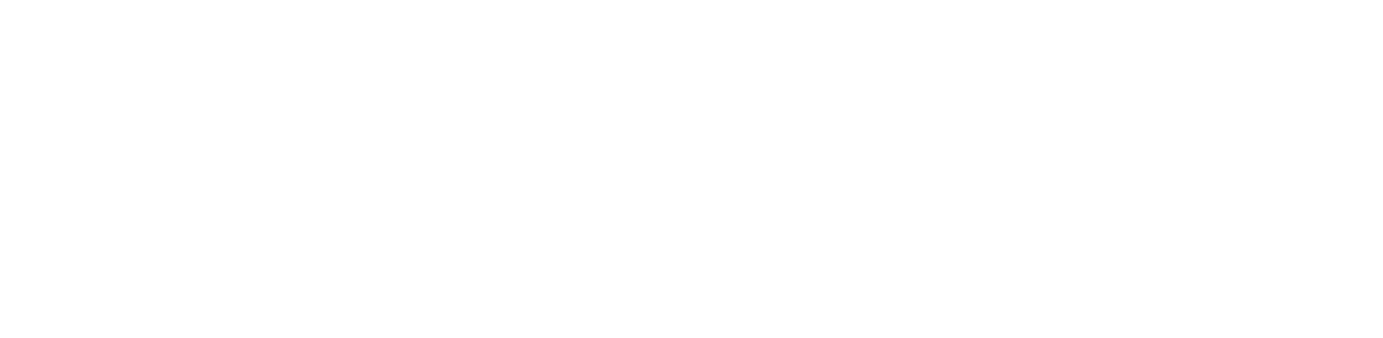 ELECTRONICA CASTILLA DEV